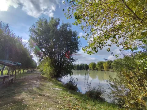 Prodaja, ugostiteljski objekat, 196m², Horgoš, Kanjiža - image 5