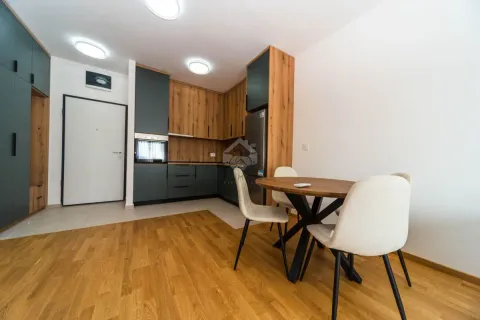 Izdavanje, jednosoban stan, 49m², Stari Aerodrom, Podgorica - image 4