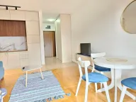 Izdavanje, garsonjera, 42m², Bečići, Budva - image 15