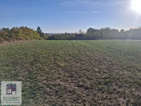 Pogled na prostrano zemljište sa zelenom površinom i niskim rastinjem. - image 4