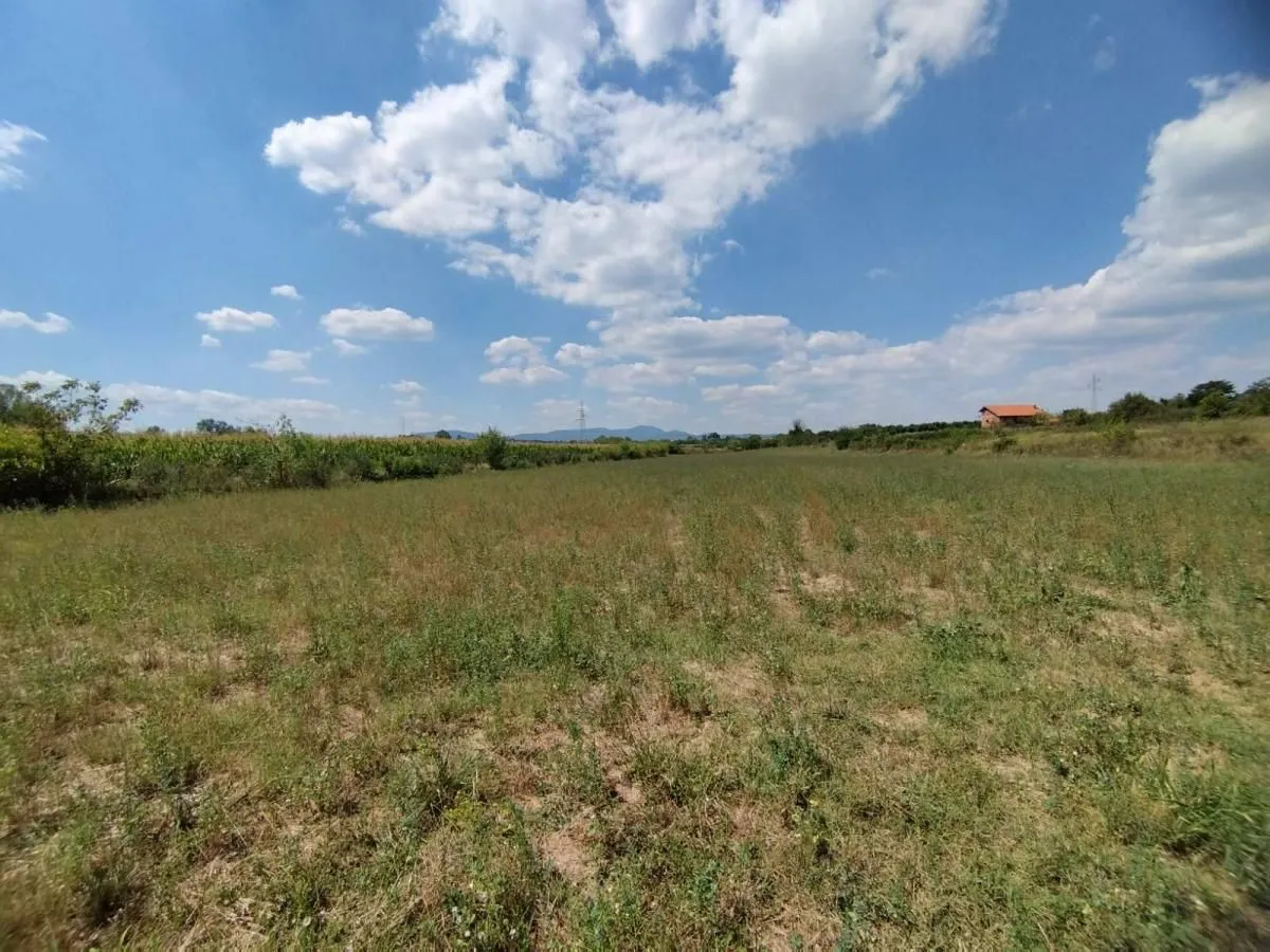 Prodaja, plac, 3000m², Vinorača, Jagodina