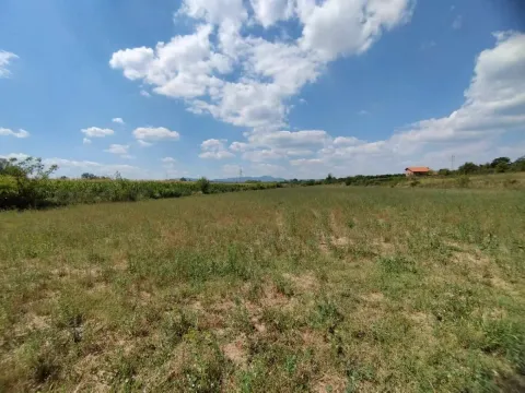 Prodaja, plac, 3000m², Vinorača, Jagodina - image 4