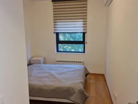 Izdavanje, trosoban stan, 60m², Južni Bulevar, Vračar Sve Podlokacije - image 5