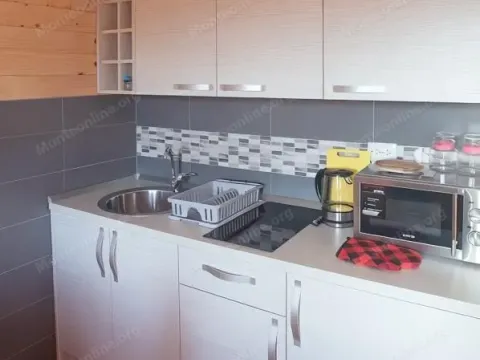 Prodaja, poslovni prostor, 219m², Borje, Žabljak - image 15