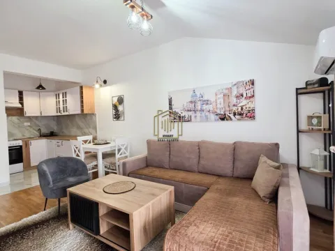 Izdavanje, jednosoban stan, 42m², Zagorič, Podgorica - image 2