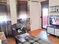 Sale, one bedroom apartment, 48m², Tuški Put, Podgorica - image 1