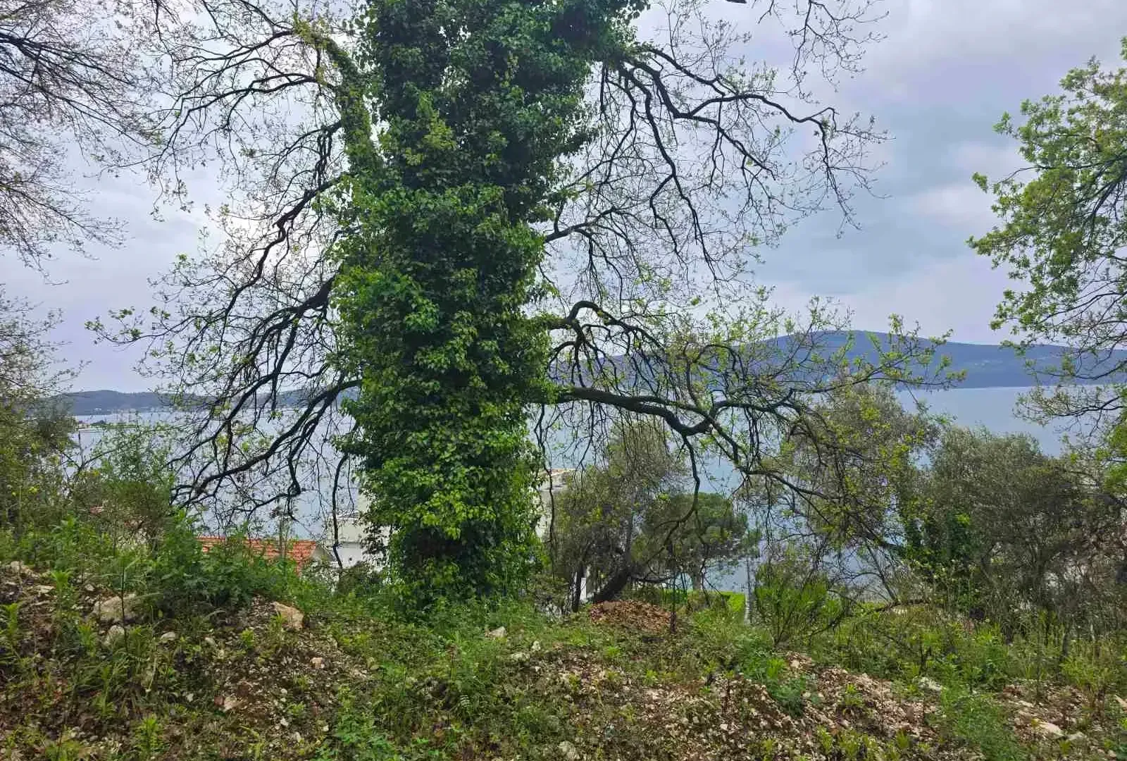 Sale, land lot, 1155m², Tivat, Crna Gora