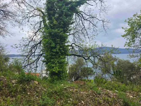 Sale, land lot, 1155m², Tivat, Crna Gora - image 1