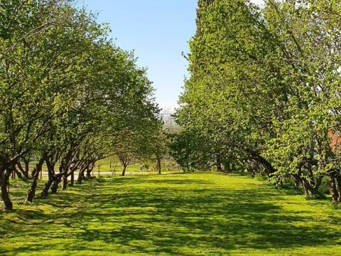 Prodaja, kuća, 132m², Danilovgrad, Crna Gora - image 12