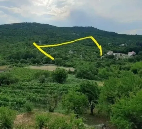 Prodaja, plac, 9300m², Cetinje, Crna Gora