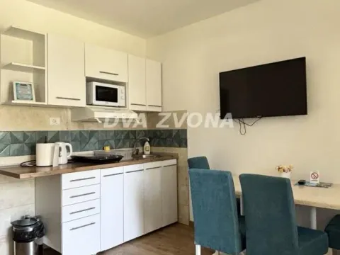 Sale, office space, 505m², Banja Vrdnik, Irig - image 2