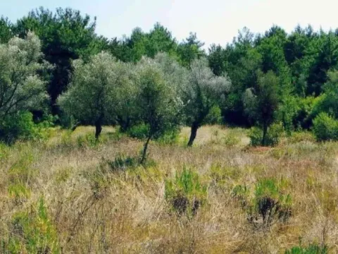 Sale, land lot, 350m², Kavač, Kotor - image 2