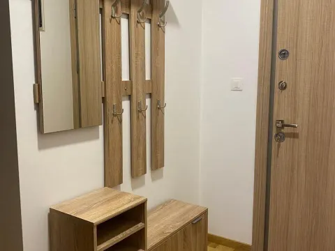 Rent, one bedroom apartment, 40m², Bečići, Budva - image 8