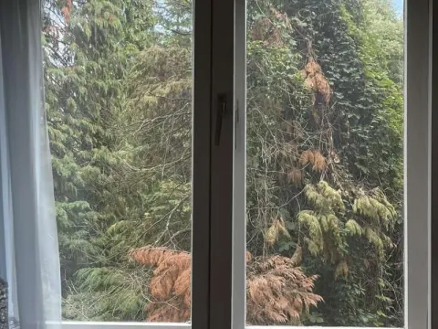 Izdavanje, dvosoban stan, 55m², Banjica, Voždovac Sve Podlokacije - image 3