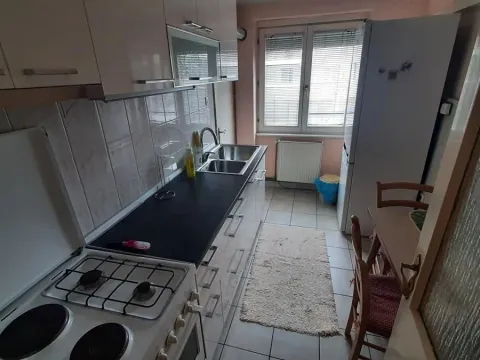 Rent, two bedroom apartment, 56m², Cara Dušana, Novi Sad Sve Podlokacije - image 6