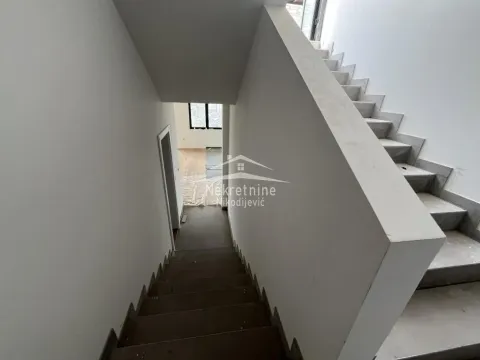 Prodaja, stan, 230m², Zemun Sve Podlokacije, Beograd - image 13