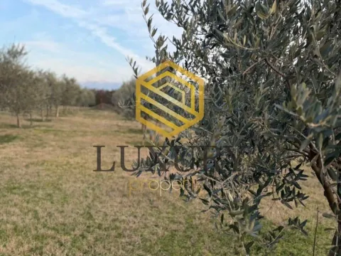 Prodaja, kuća, 122m², Zeta, Podgorica - image 3