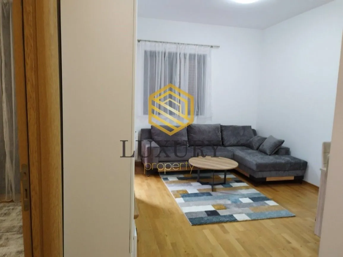 Rent, one bedroom apartment, 45m², Centar, Podgorica