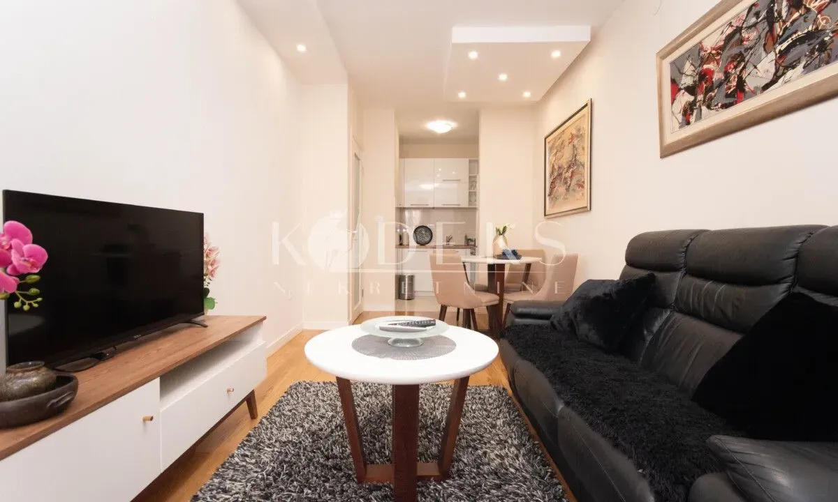 Rent, one bedroom apartment, 40m², Central Point, Podgorica