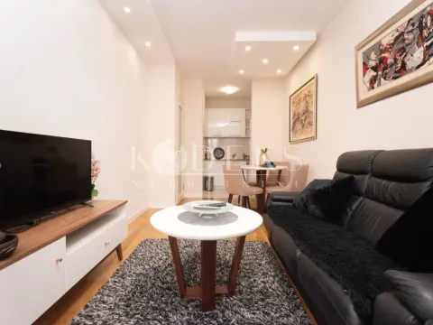 Izdavanje, jednosoban stan, 40m², Central Point, Podgorica - image 1