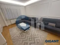 Izdavanje, jednosoban stan, 31m², Vračar Hram, Vračar Sve Podlokacije - image 1