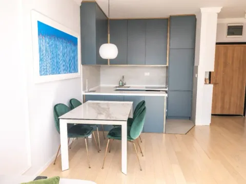 Izdavanje, jednosoban stan, 47m², Centar, Podgorica - image 12