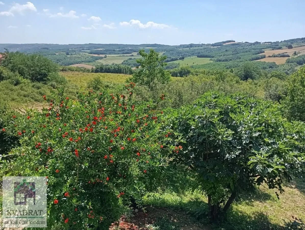 Sale, house, 116m², Obrenovac, Beograd