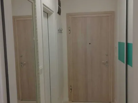 Izdavanje, jednosoban stan, 49m², Central Point, Podgorica - image 11