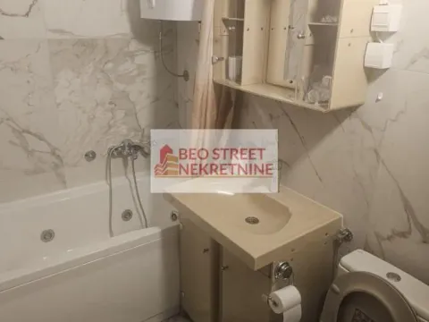 Izdavanje, četvorosoban stan, 110m², Savski Venac, Beograd - image 10