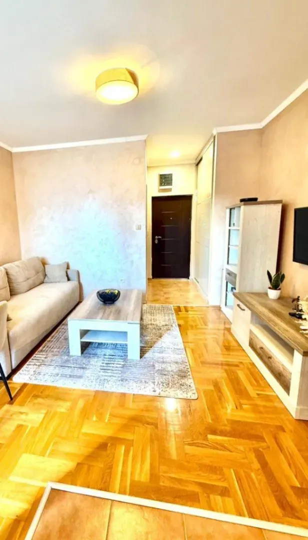 Izdavanje, garsonjera, 30m², Tuški Put, Podgorica