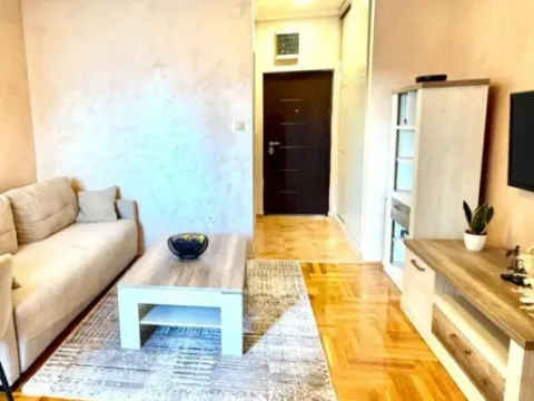 Izdavanje, garsonjera, 30m², Tuški Put, Podgorica - image 3