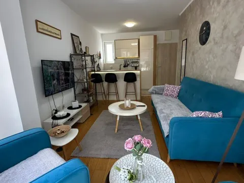 Izdavanje, jednosoban stan, 35m², Ljubović, Podgorica - image 13