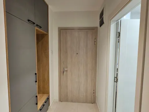 Izdavanje, jednosoban stan, 49m², Central Point, Podgorica - image 4