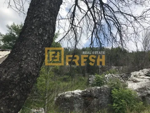 Sale, land lot, 194723m², Cetinje, Crna Gora - image 12