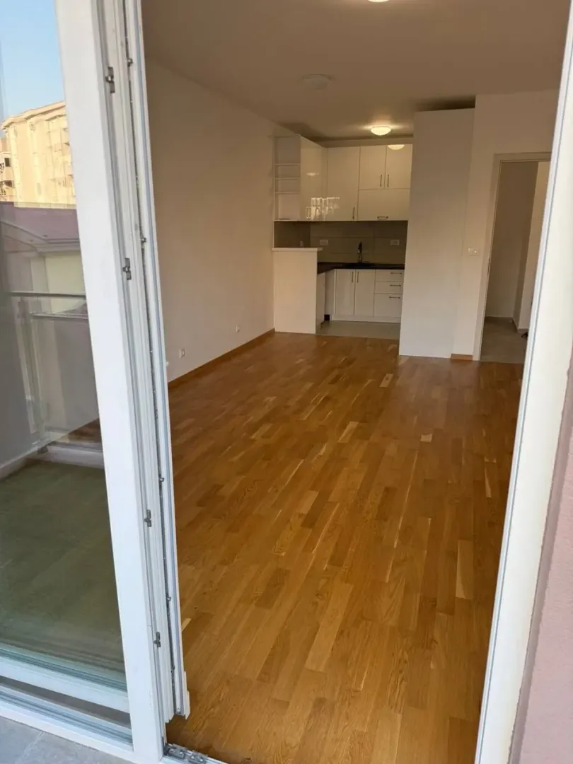 Rent, one bedroom apartment, 53m², Ljubović, Podgorica