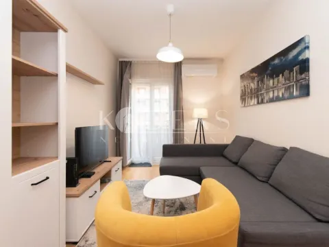 Izdavanje, jednosoban stan, 42m², Central Point, Podgorica - image 2