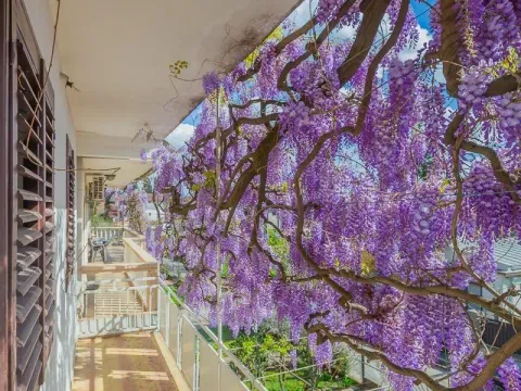 Rent, two bedroom apartment, 400m², Tološi, Podgorica - image 2