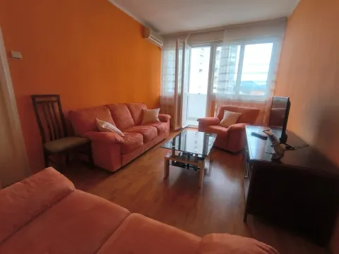 Prodaja, jednosoban stan, 50m², Gintaš, Podgorica - image 1