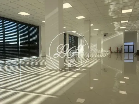 Rent, office space, 228m², Altina, Beograd - image 8