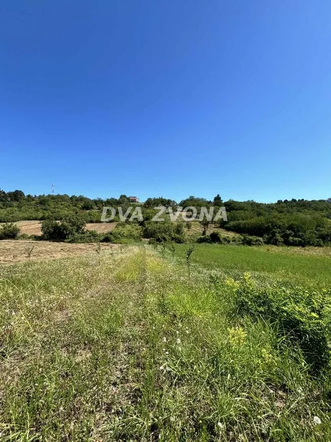 Prodaja, plac, 6000m², Čortanovci, Inđija