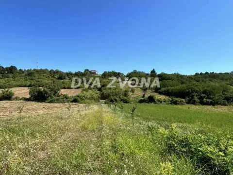 Sale, land lot, 6000m², Čortanovci, Inđija - image 3