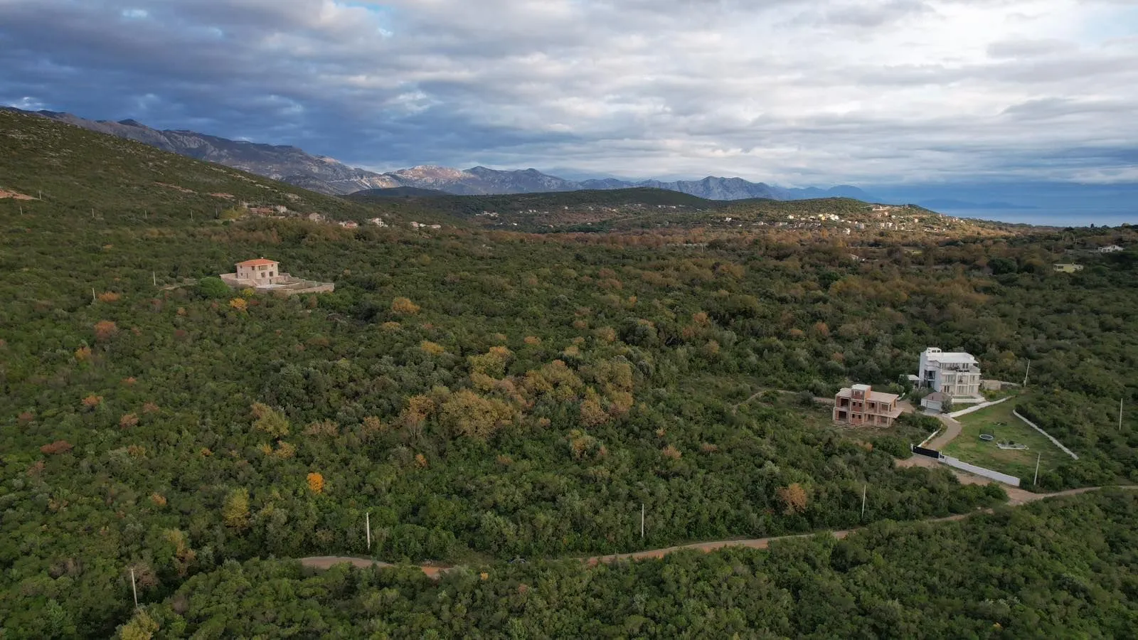 Prodaja, plac, 1951m², Krimovica, Kotor