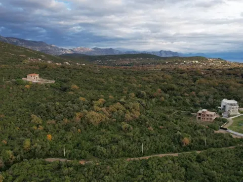 Prodaja, plac, 1951m², Krimovica, Kotor - image 3