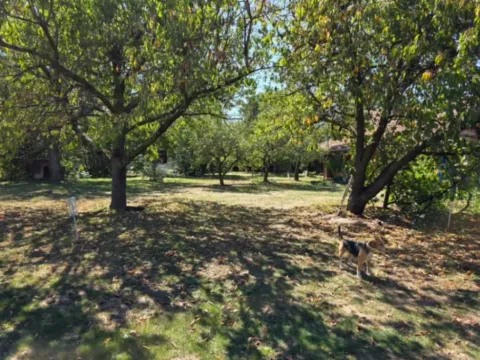 Prodaja, kuća, 224m², Ratari, Smederevska Palanka - image 10