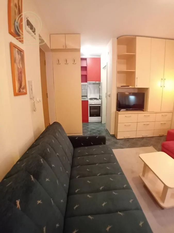 Izdavanje, garsonjera, 17m², Nova Detelinara, Novi Sad Sve Podlokacije