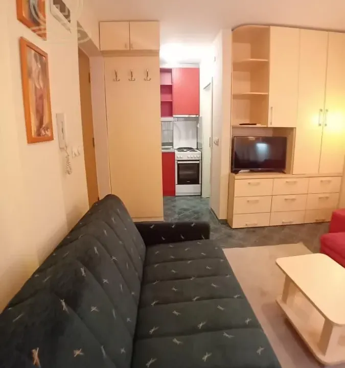 Rent, studio apartment, 17m², Nova Detelinara, Novi Sad Sve Podlokacije
