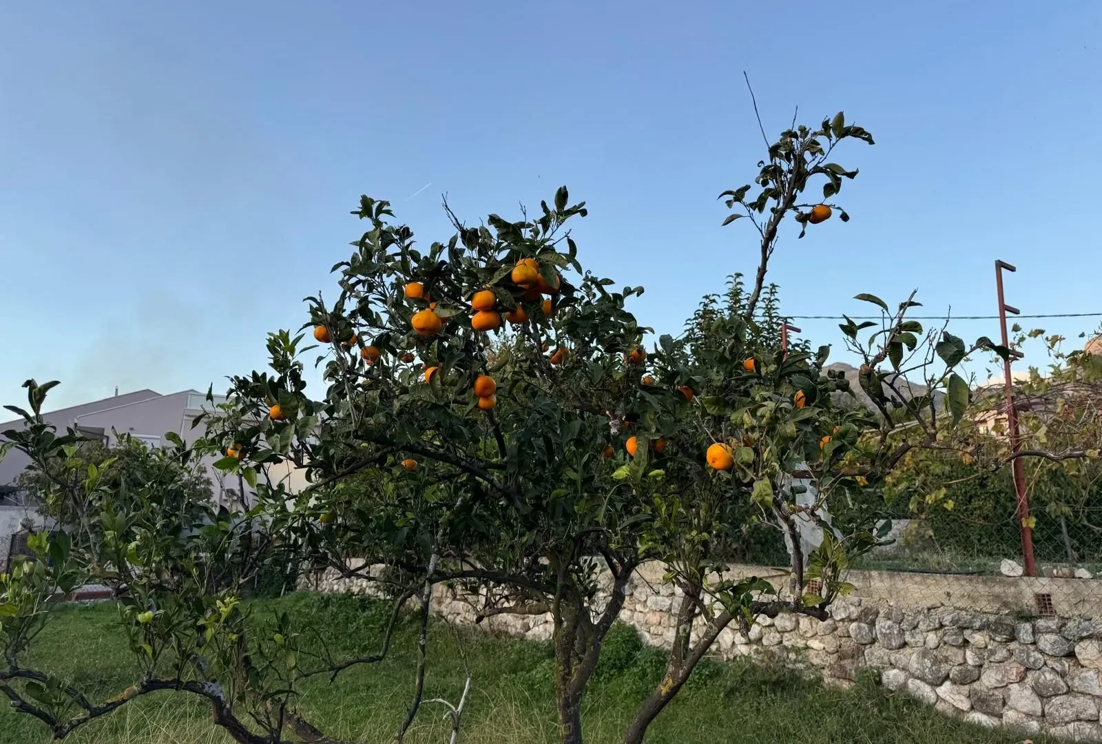 Sale, land lot, 5000m², Čeluga, Bar