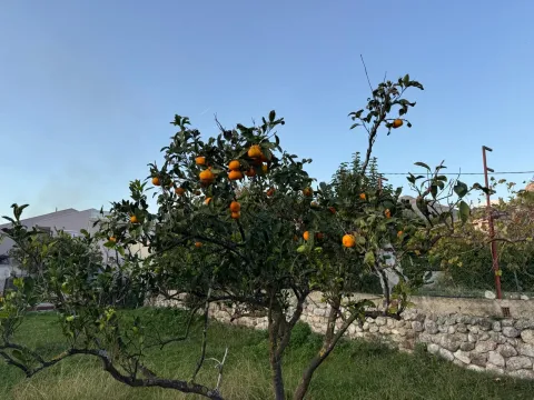 Sale, land lot, 5000m², Čeluga, Bar - image 1