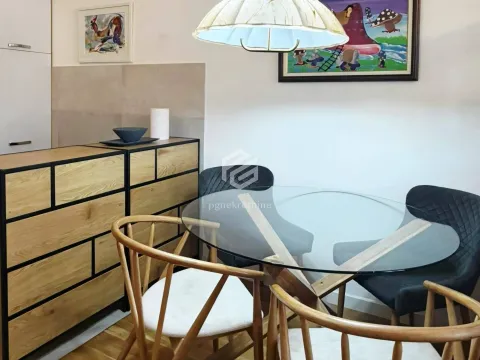 Izdavanje, jednosoban stan, 46m², Zabjelo, Podgorica - image 3