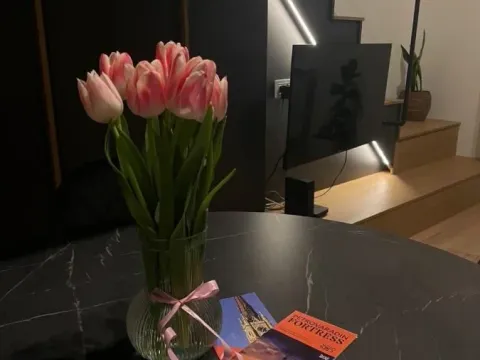 Izdavanje, jednosoban stan, 30m², Grbavica, Novi Sad Sve Podlokacije - image 7